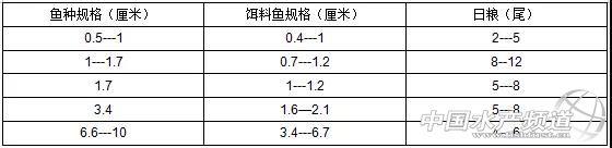 干货丨鳜鱼养殖过程全面解读