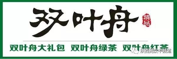 汉中首届生态农场、大型东方迪士尼及动物世界火爆开园，门票无限送！