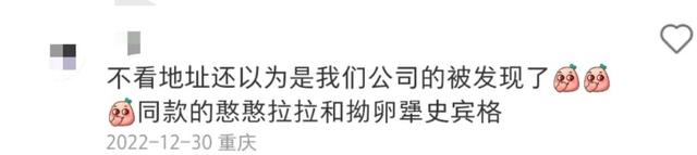 拉布拉多干了全部的活，上报纸的却是史宾格？网友：玩不过烫头的