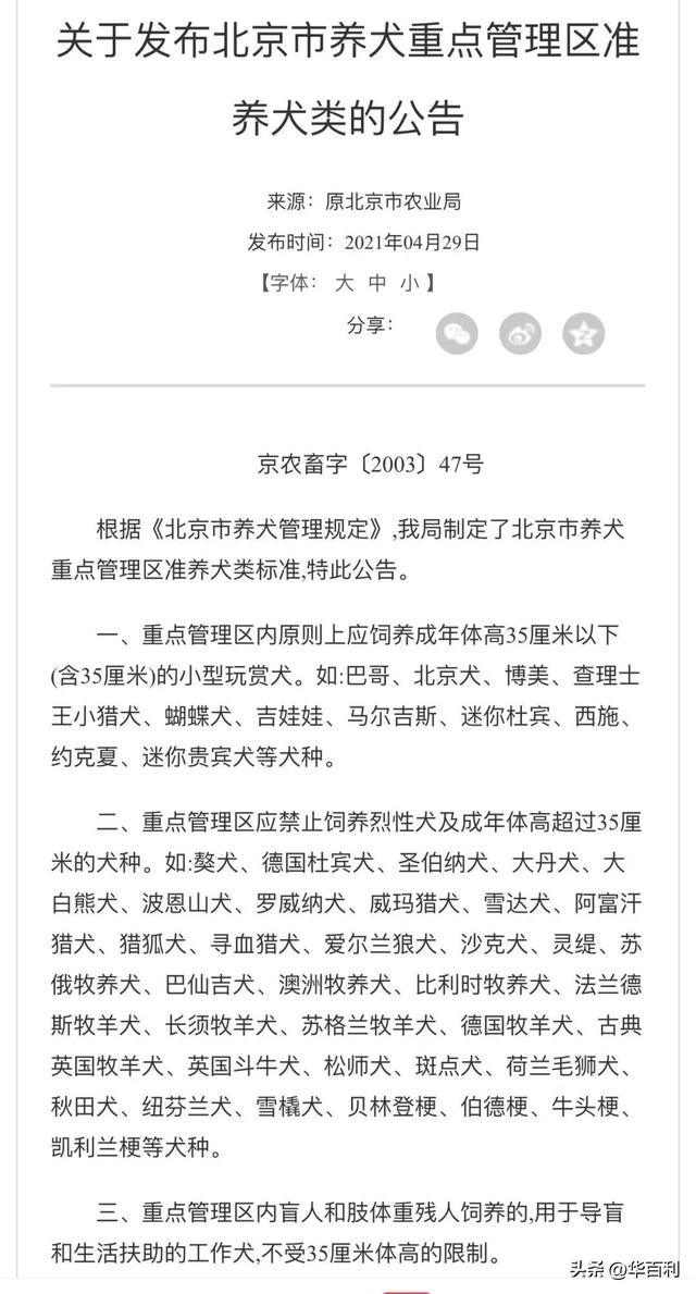 狗狗也要有“身份证”！还有这些养犬规定要知晓