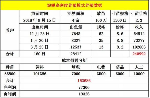 泥鳅高密度养殖模式注意这些关键点，亩利润超19000元