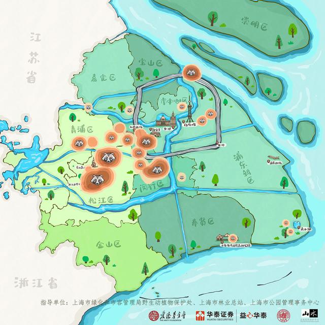 “神奇”的动物在上海｜“貉”以为家