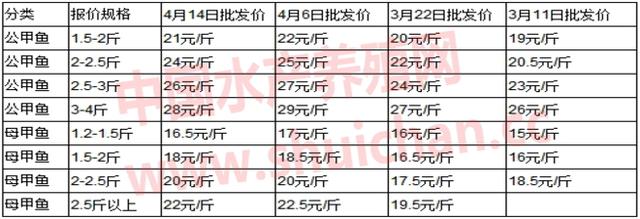 缺货、疯涨，甲鱼最近十年最好的行情已经出现，养殖户疯狂抢苗，其中的风险也要注意！