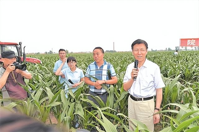 黑土地保护的中国平台