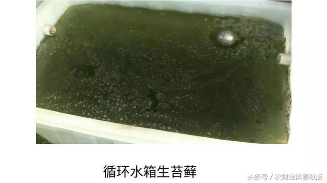 谨防八大坑，让你的水帘降到“冰点”