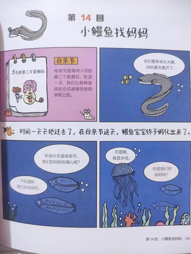 一年365天，海边生物们过哪些节日