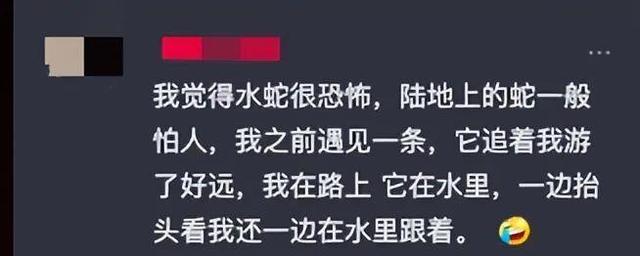 浙江男子野泳遇长蛇！水蛇无毒可食用？千万别，鸡冠蛇毒胜眼镜蛇