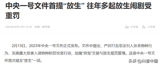 为何放生25000斤鲶鱼被罚5.8万？因为这种行为比“杀生”可怕多了