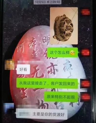 宠物小店内有乾坤：暗中交易买卖野生动物