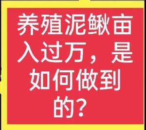 黑龙江泥鳅养殖基地(养殖泥鳅的利润、产量如何？养殖泥鳅需要什么条件，一文说清)