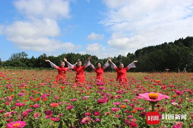 成都市简阳市兴隆村驻村第一书记：让村集体享受农旅融合发展红利