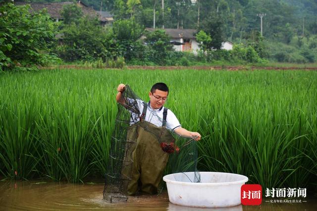 小康圆梦丨90后大学生返乡当起新型农民 带领乡亲逐梦“稻虾养殖”产业