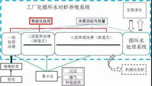 工厂化循环水水产养殖(广东省2020年渔业主推技术：对虾封闭式工厂化循环水养殖技术)