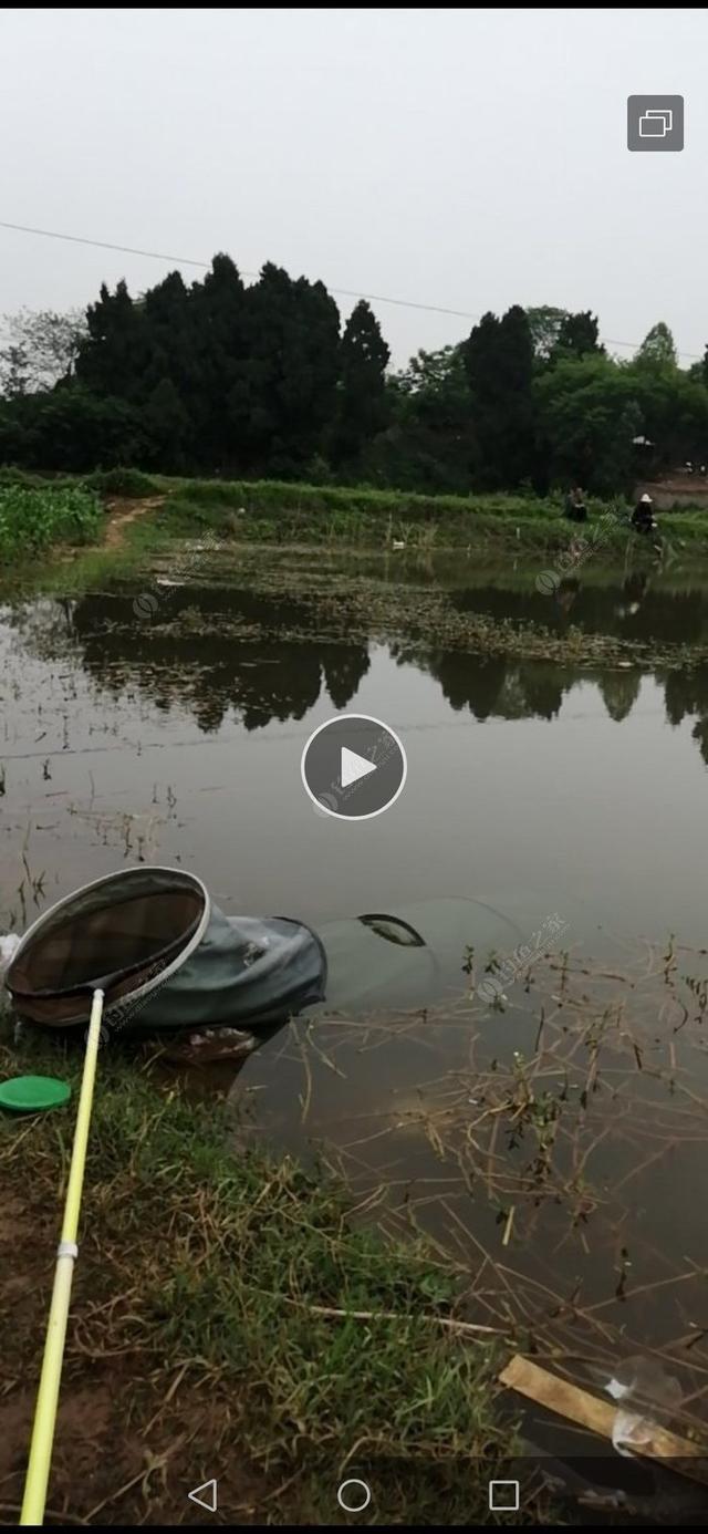 三岔湖钓三角峰，没想到有意外之喜