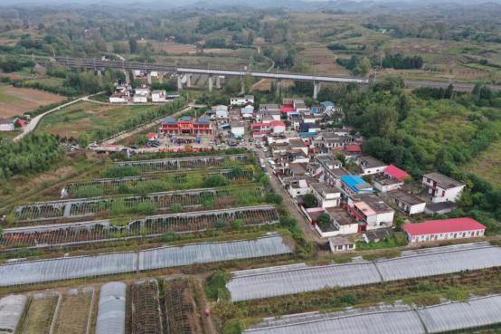 新春走基层丨西峡县袁庄村：“九道沟十一道岭”间的新年计划