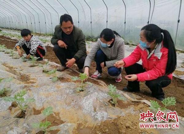 驻马店驿城区蚁蜂镇小邓庄：昔日贫困村 今朝面貌新