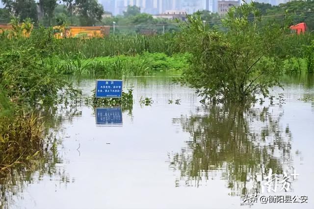 网传广东一养殖场70多条鳄鱼出逃，官方回应：通知居民尽量不出门