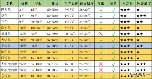 入门养龟推荐，新手必须了解的避坑指南