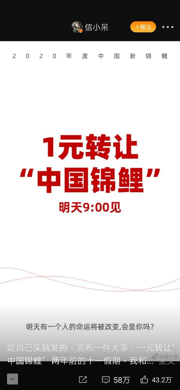 百万网友梦碎！1元转让“中国锦鲤”的信小呆被禁言3个月