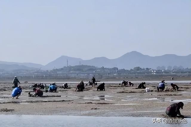 方斑东风螺的生物习性与高效的人工养殖育苗技术