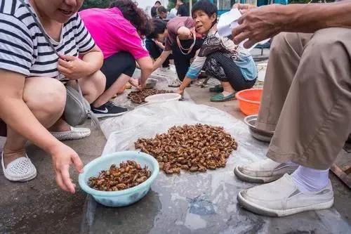 摸过爬叉的进来，河南人应该都知道爬叉是啥吧