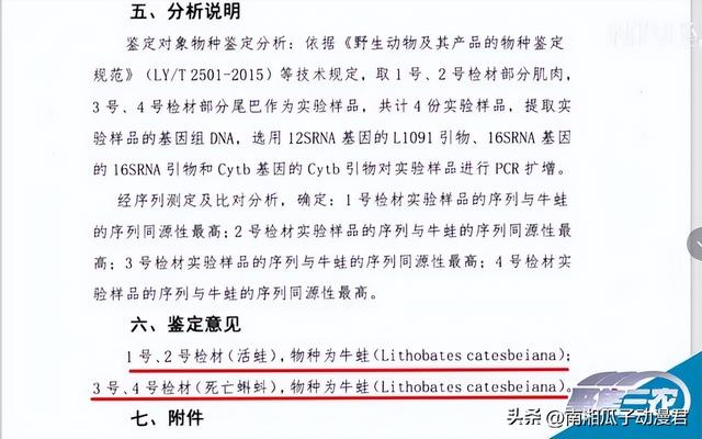 这事闹大了！给蛙做尸检，部级单位派员调查，局长突然改口了