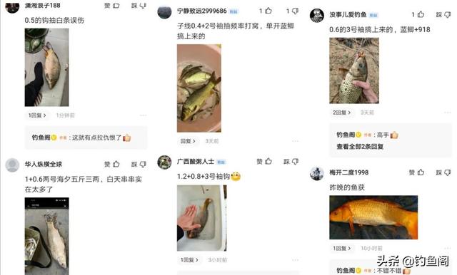 到手的大鱼又跑了？你该做的不是换粗线，而是养成5个好习惯