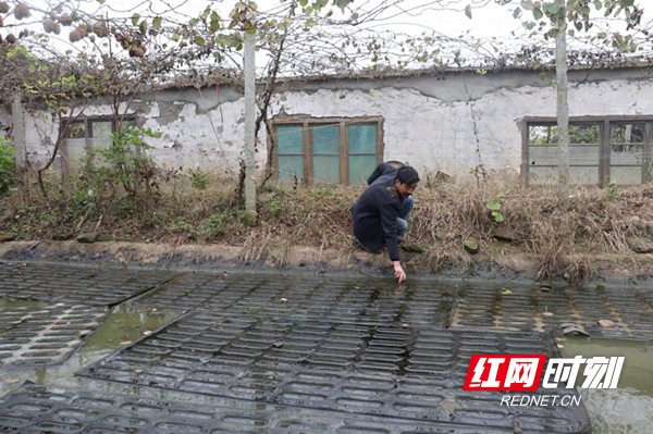 西湖致富带头人夏新招：种养结合蹚出致富路