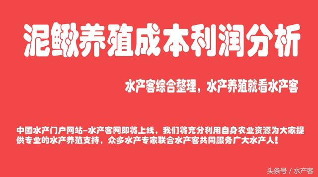 农村养殖泥鳅一亩田成本和利润多大？养殖泥鳅还赚钱吗