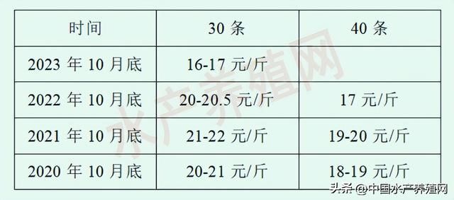 比疫情3年还惨？开盘价暴跌！新一轮对虾降价又要开始了？