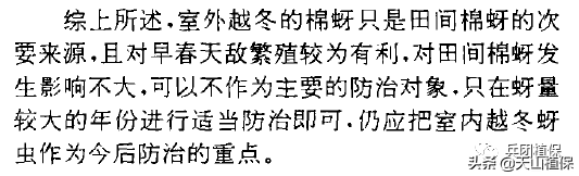 棉蚜在室内外越冬寄主有哪些？伏蚜防控技术