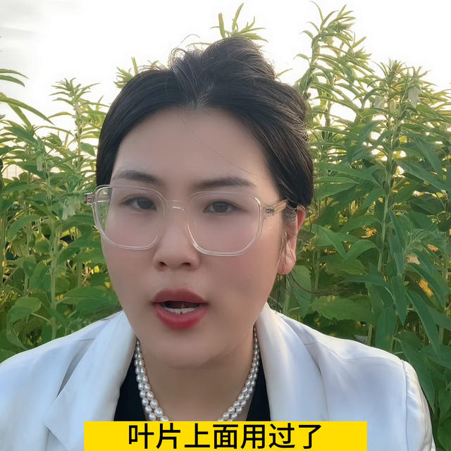 杀虫剂一定要选对不选贵！这个配方虫卵双杀，持效期长！#...