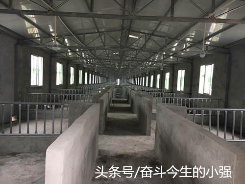 看了这个我终于知道怎样建设规模化养殖场，这下可以大干一场了