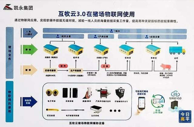 智能化养猪！这配置也太高了吧~