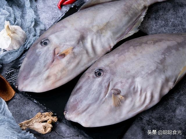 买鱼时，内行人专买这8种野生海鱼，难以人工养殖，看完长知识