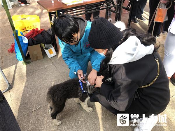 @昆明铲屎官 周末也能带宠物接种狂犬疫苗 这下方便了