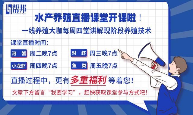 红壳警告！小龙虾壳变红了，可能是这几个危险的征兆