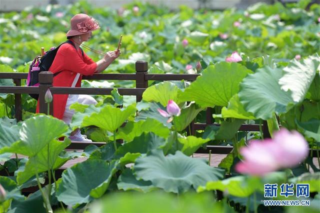 江西南昌：观荷捕虾富农家