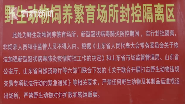 不能卖不能杀！“一丘之貉”被隔离，养殖户：吃不消了