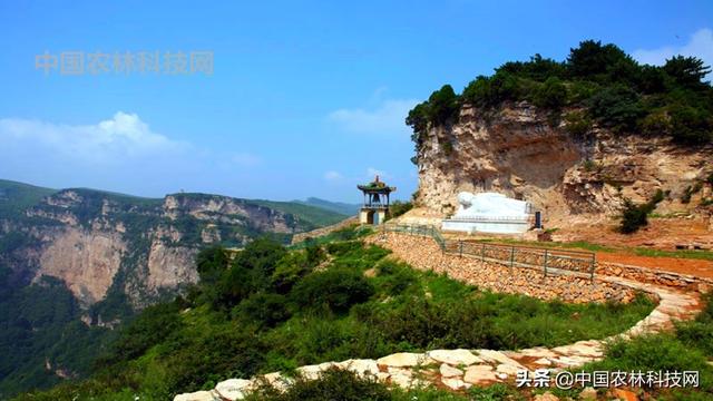 雄奇险峻太行龙口！一县一品公益助农，山西和顺农特产肉牛