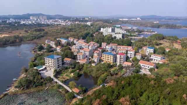 新华全媒+丨武汉黄陂：“空心村”变身“网红村”