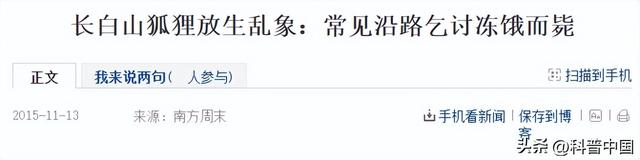 为何放生25000斤鲶鱼被罚5.8万？因为这种行为比“杀生”可怕多了