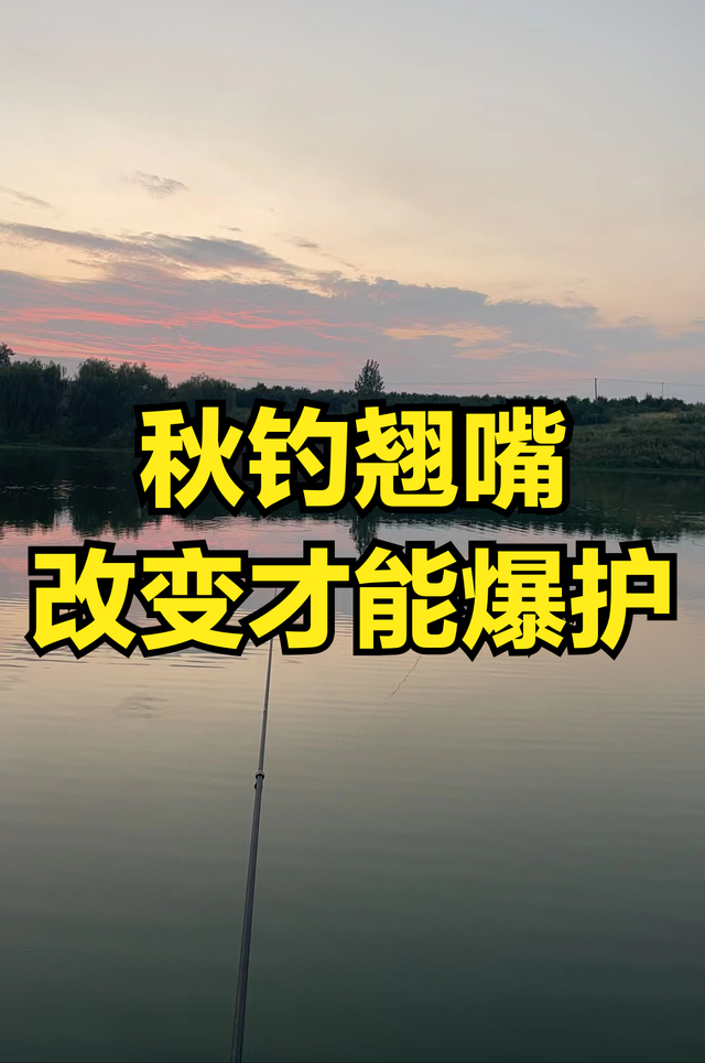 秋季湖库野钓翘嘴四个方面的五个小建议，唯有改变才能渔获满满