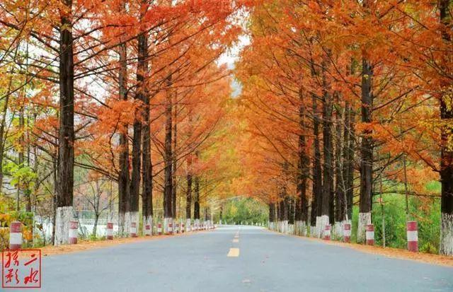 坐西成高铁去旅行7丨登山、戏水、最美乡村游……尽在留坝