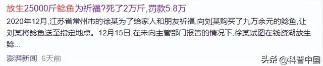 为何放生25000斤鲶鱼被罚5.8万？因为这种行为比“杀生”可怕多了