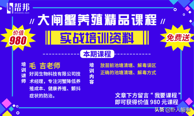 老师傅搞养殖连续亏本一年多！现如每亩稳赚1万，只用了这一招