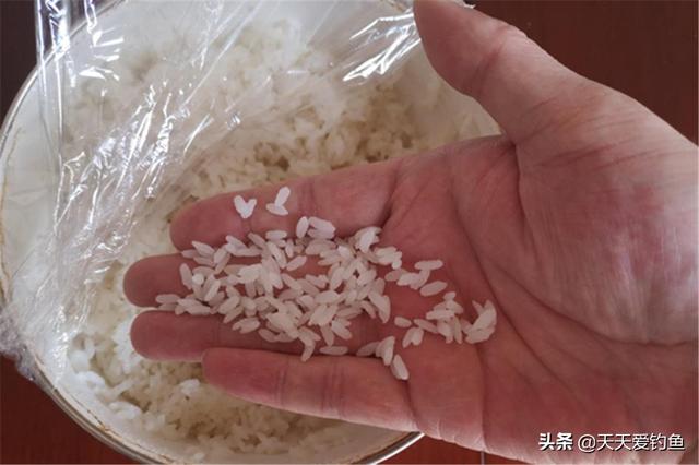 野钓鲫鱼，用每天吃的东西做饵料，杂鱼不沾，上钩就是大板鲫