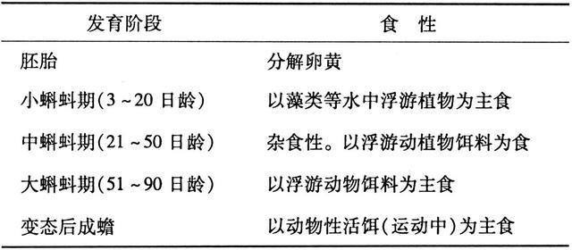 蟾蜍的习性：快速育肥才是养殖的王道，淤泥也是蝌蚪的食物？