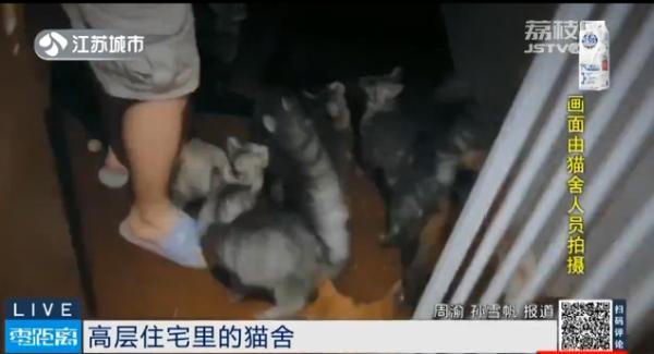 住宅房变身“经营性”猫舍？周边居民难忍噪声、气味……