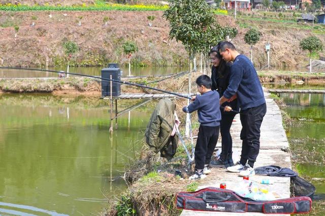 巴中市巴州区清泉村：“荒凉河滩”鱼群跃